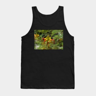 Yellow and red flower of the bird of paradise Tank Top